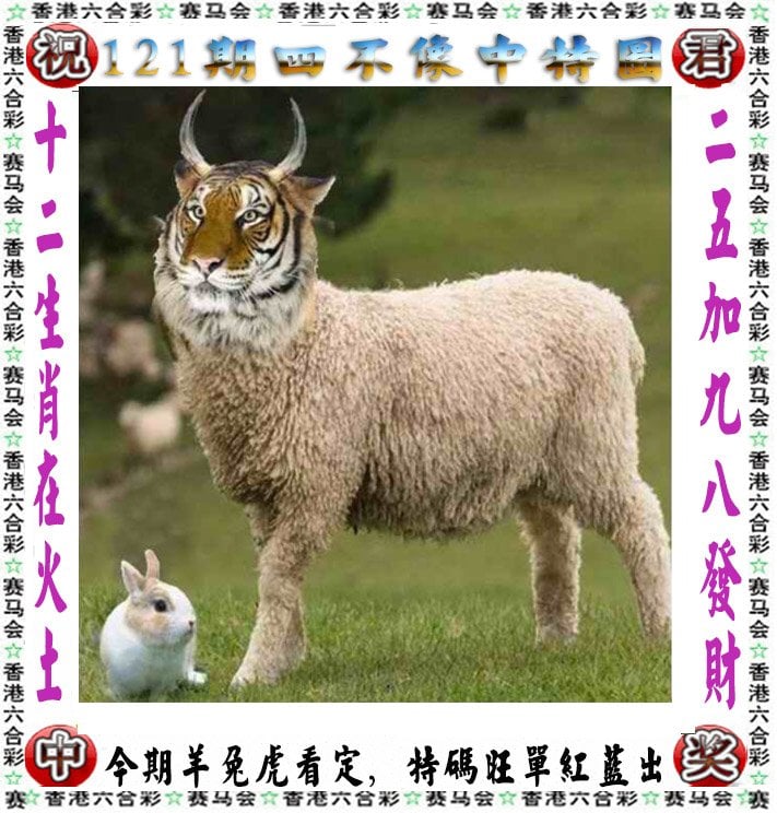 澳彩资料免费资料大全	