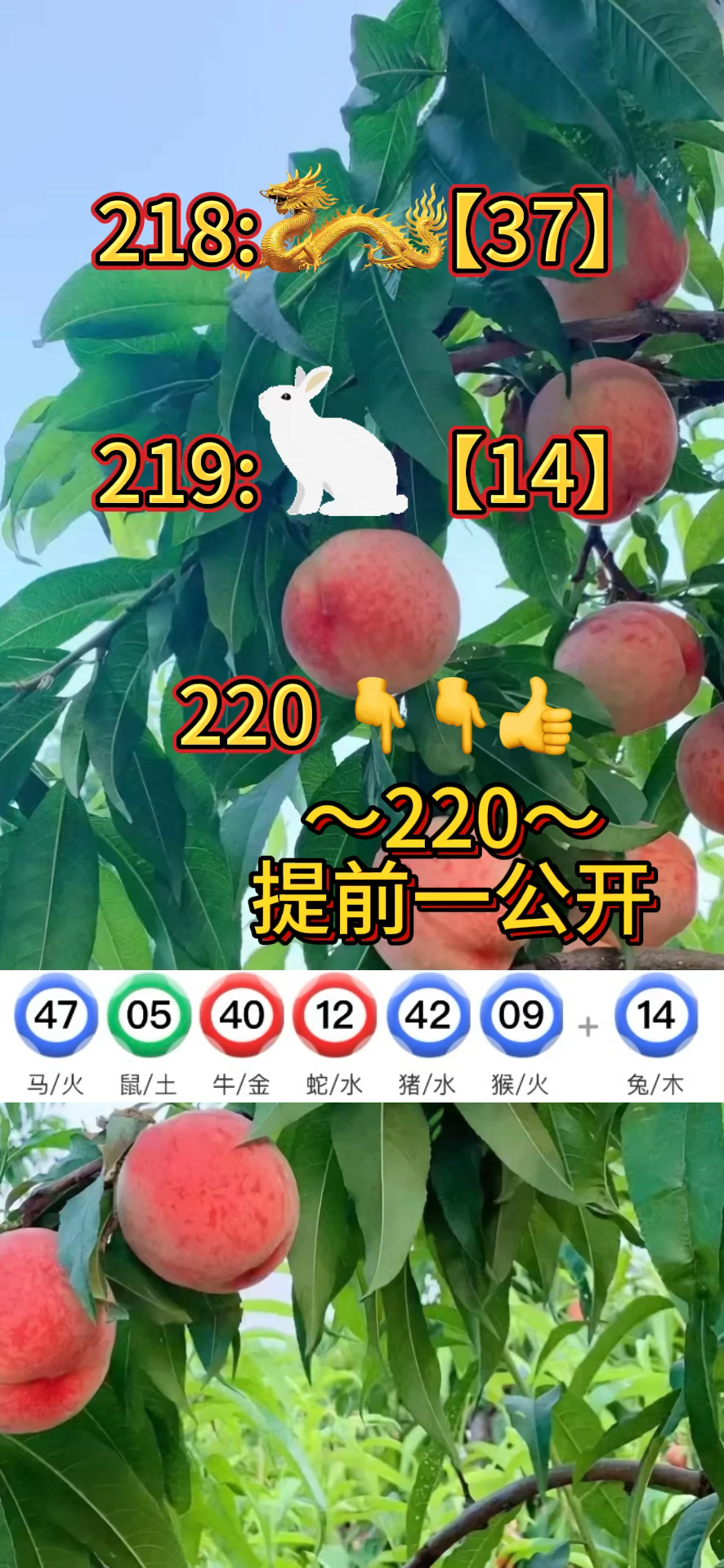 澳门新彩