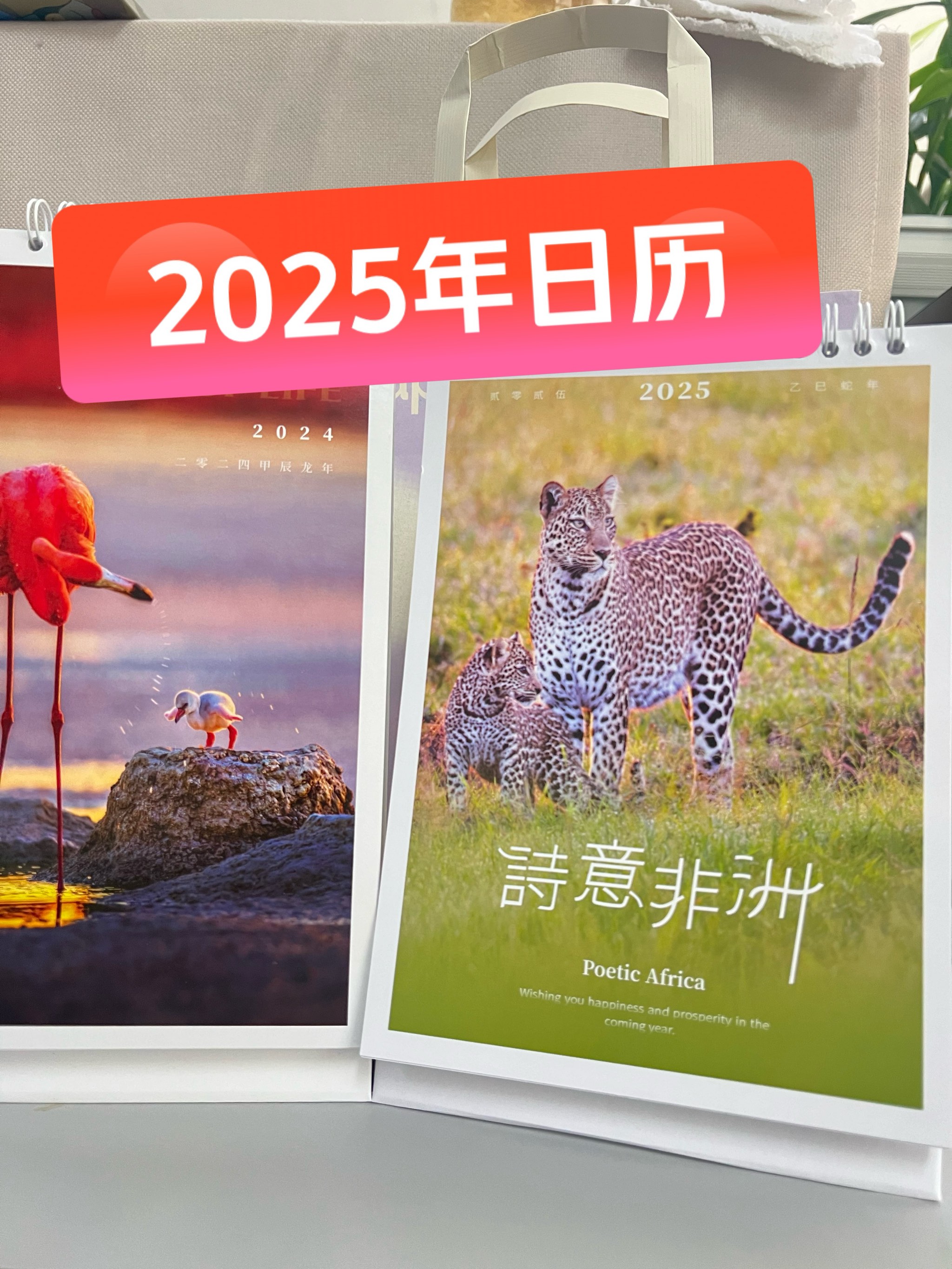 2025年全年资料免费大全