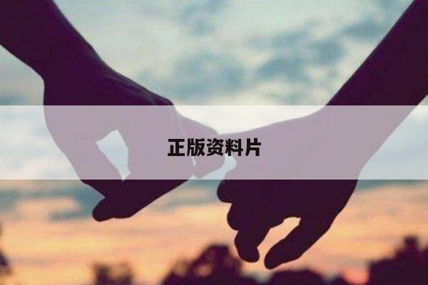 正版资料片